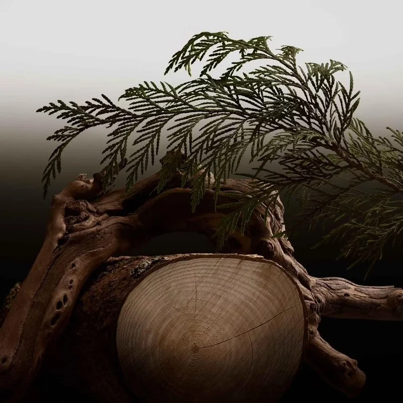Burberry Hero - Parfum