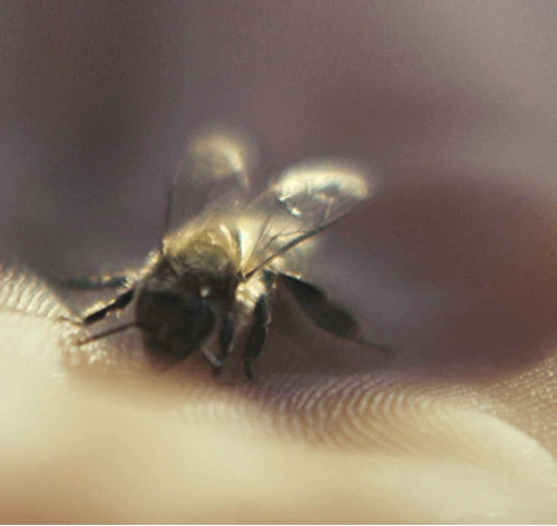 Guerlain Abeille Royale Honey Cataplasm Mask