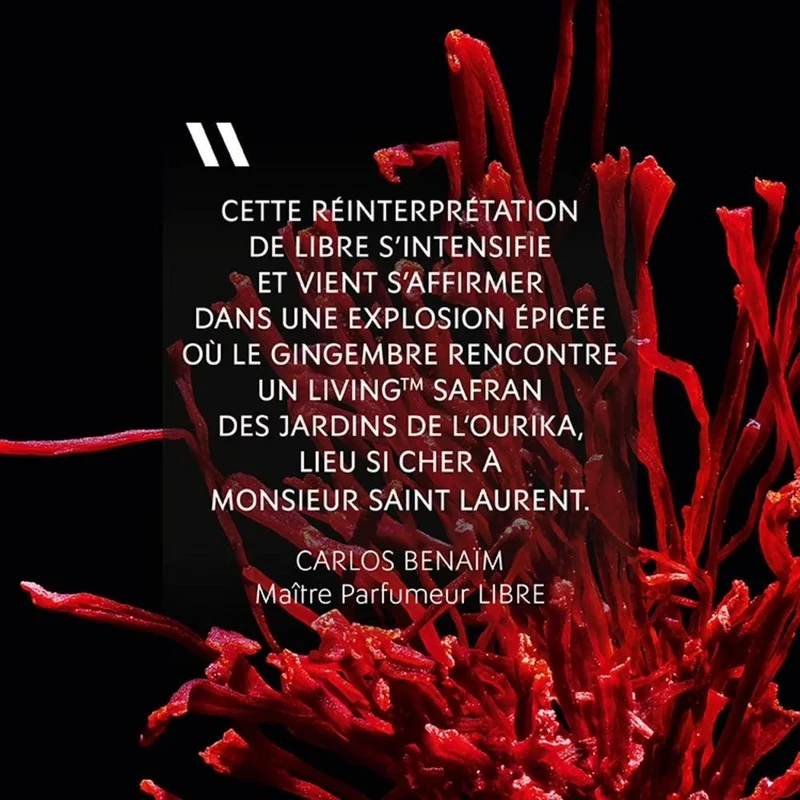 Yves Saint Laurent Libre - Le parfum