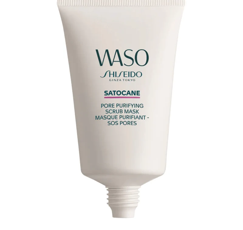 Shiseido Masque Purifiant
