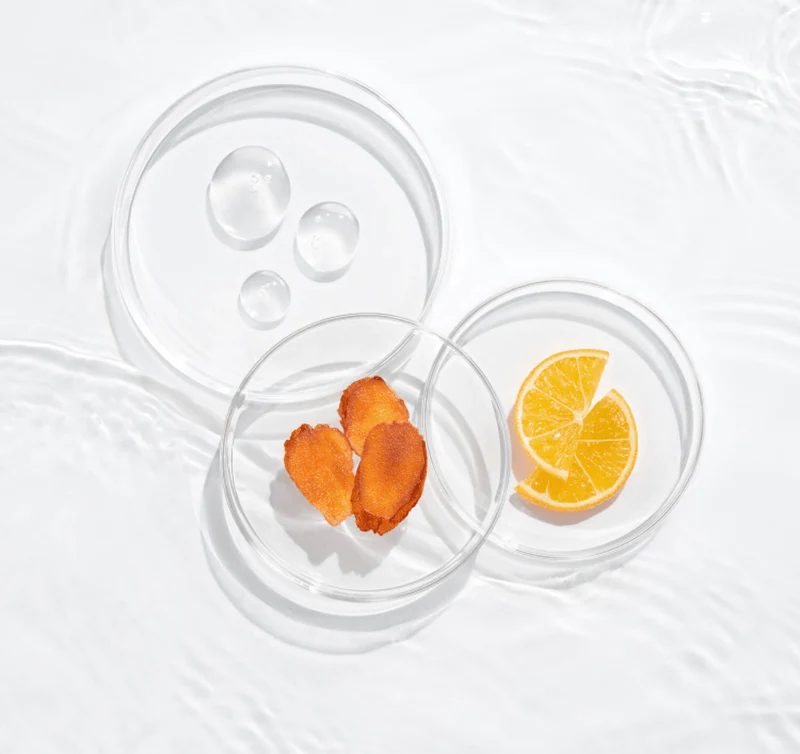 Shiseido Essential Energy - Hydratation 24H
