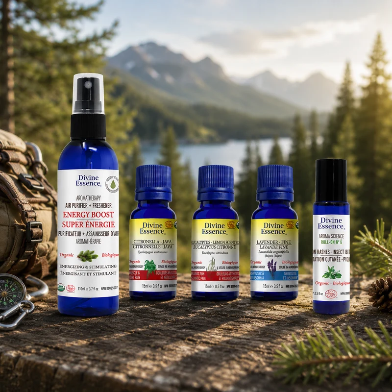 Adventure Ready bundle