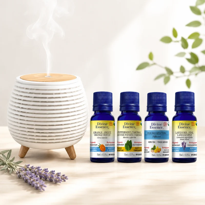 Pure Beginnings bundle