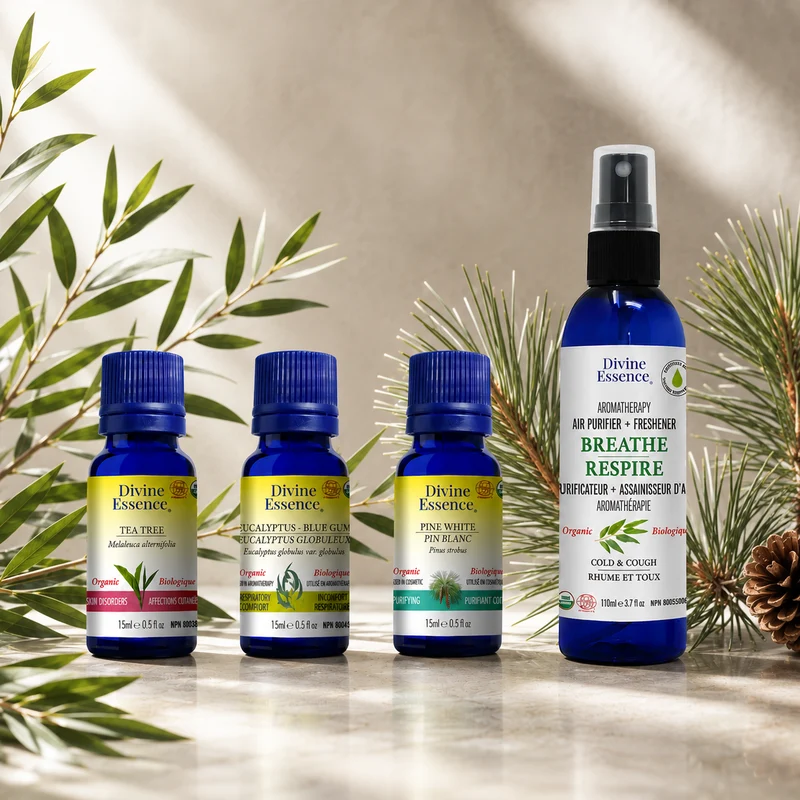 Pure Haven bundle