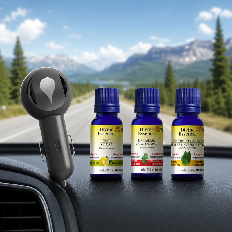 Road trip bundle