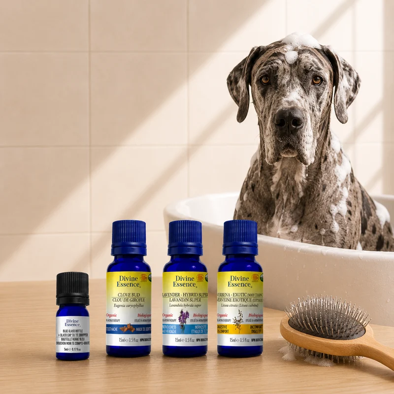 Dog Shampoo bundle