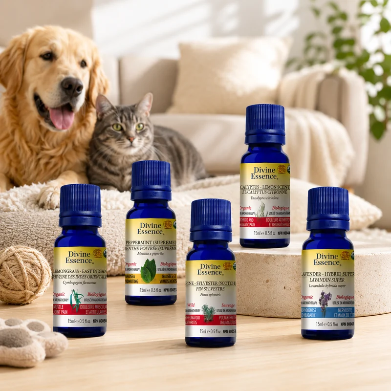 Pet Odor Eliminator bundle