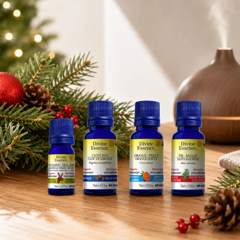 Christmas Synergy Blend bundle