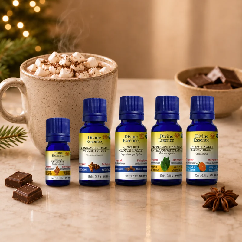 Holiday Hot Chocolate bundle
