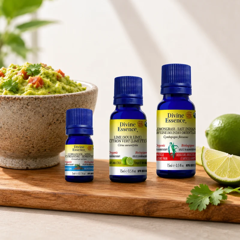 Flavoured Oil for Guacamole bundle