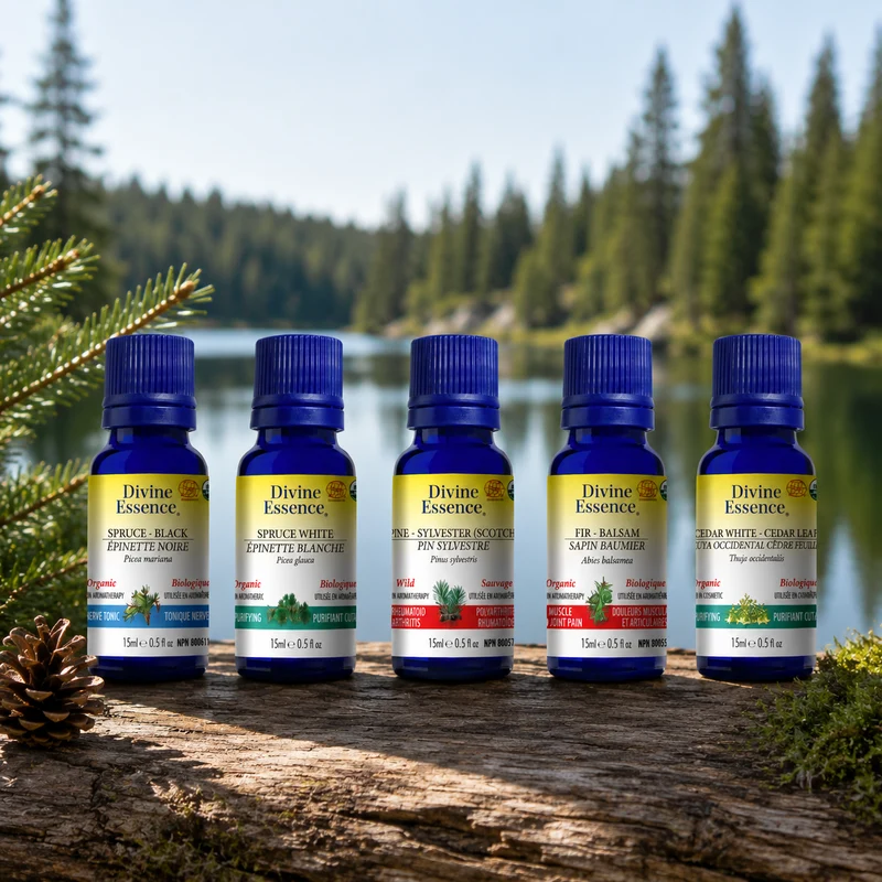 Boreal Forest Synergy Blend bundle