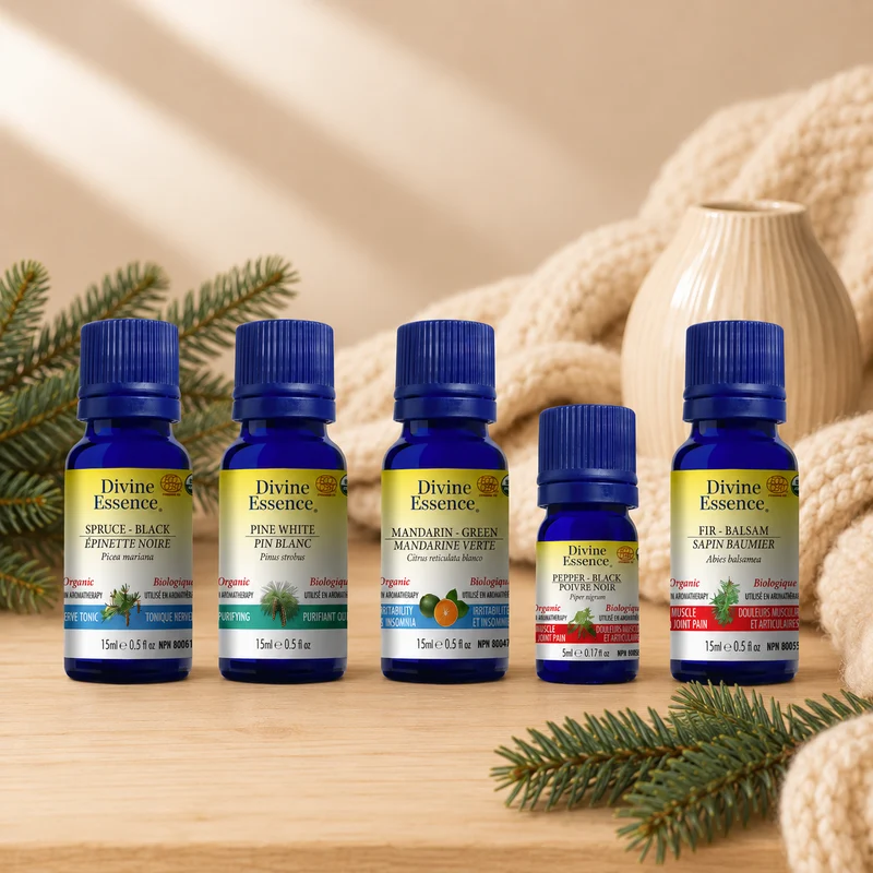 Cocooning Synergy Blend bundle