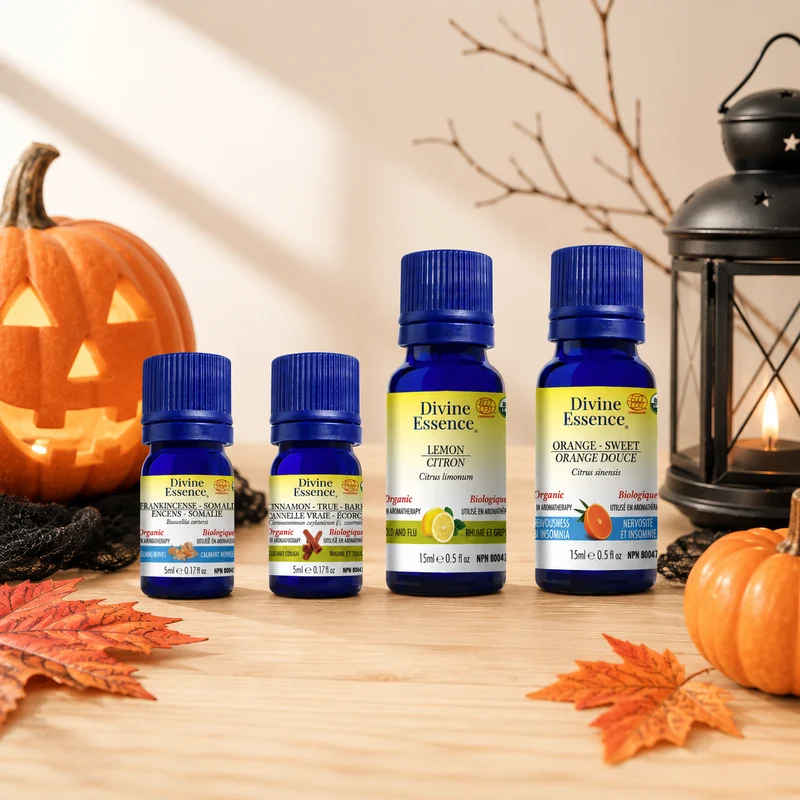 Halloween bundle
