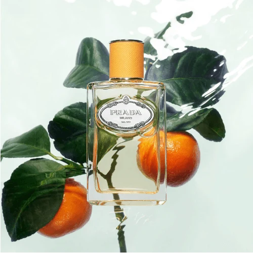 Prada Les Infusions de Prada - Mandarine - Eau de parfum