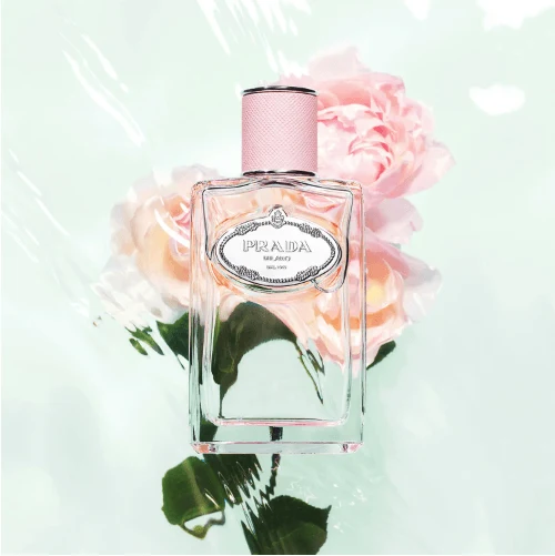 Prada Les Infusions de Prada - Rose - Eau de parfum