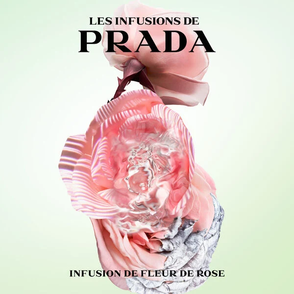 Prada Les Infusions de Prada - Rose - Eau de parfum