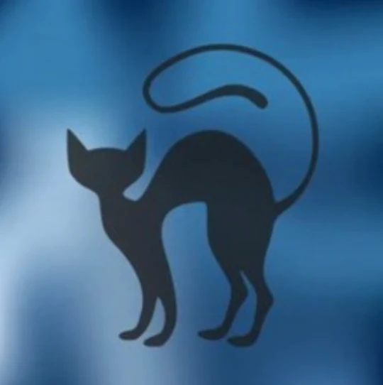 Chat Bleu