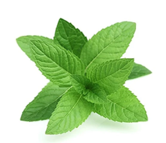 Arôme Menthe