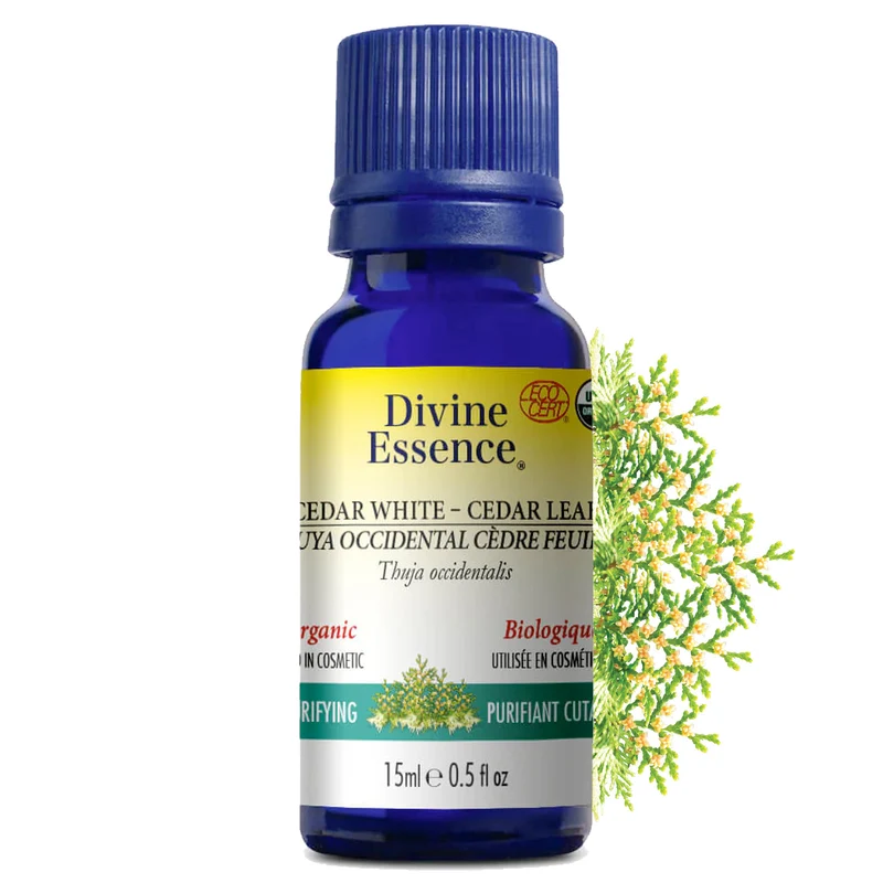 Cedar White (Cedar leaf) Organic