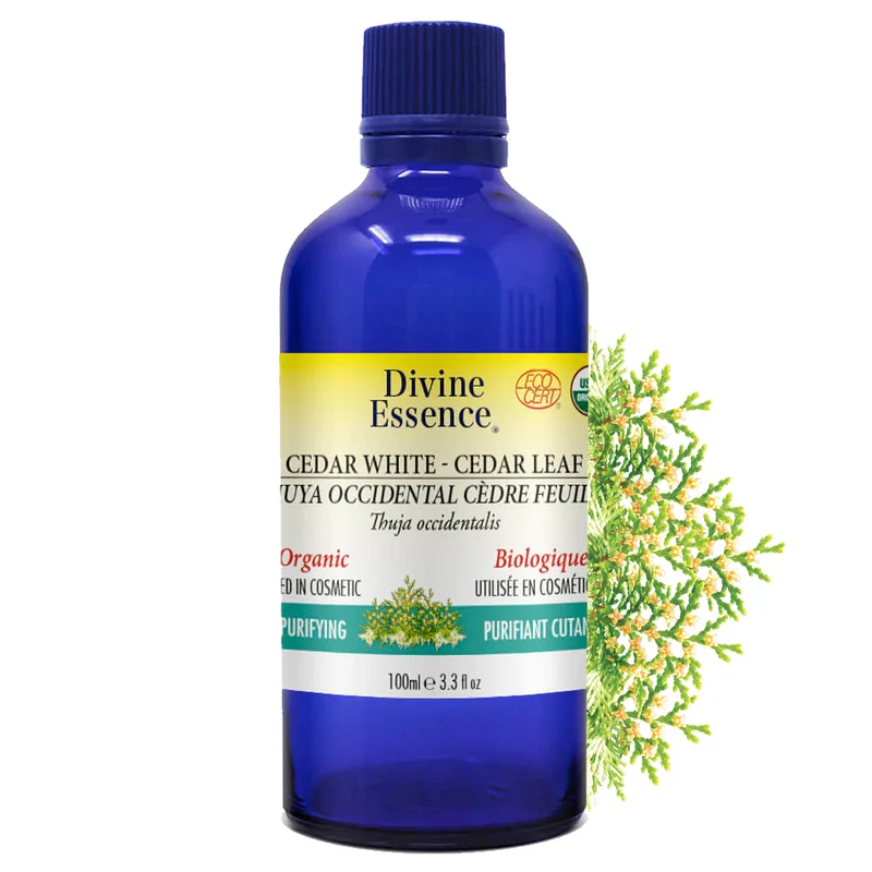 Cedar White (Cedar leaf) Organic