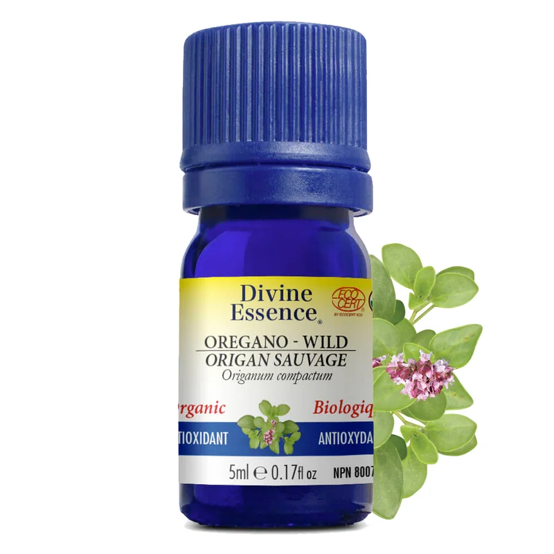 Oregano Wild Organic