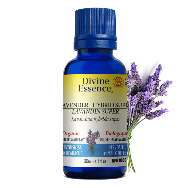 Lavender - Hybrid Super Organic
