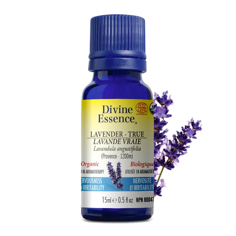 Lavender True (Provence Altitude: 1200m) Organic