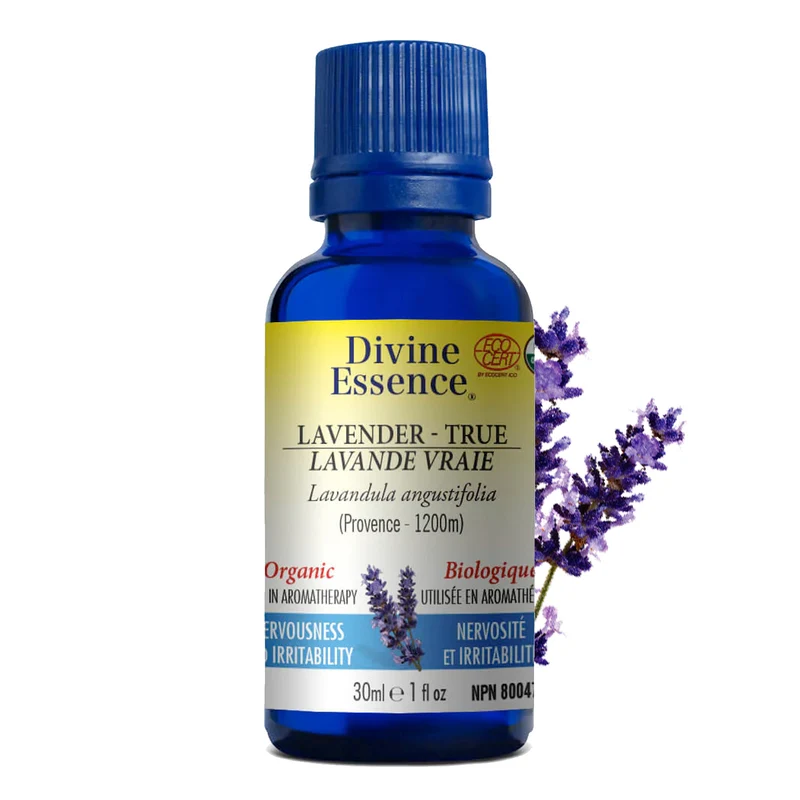 Lavender True (Provence Altitude: 1200m) Organic