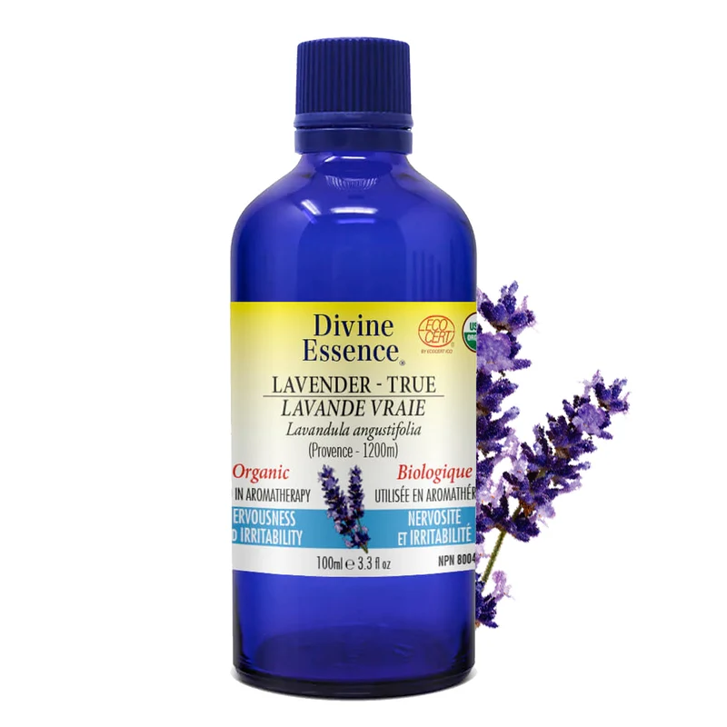Lavender True (Provence Altitude: 1200m) Organic