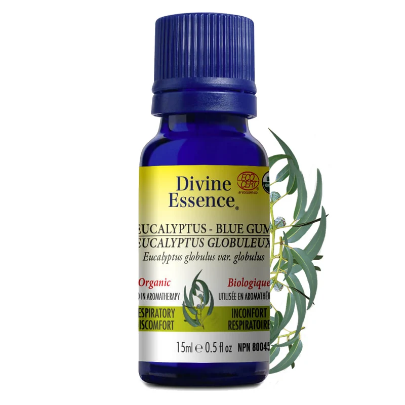 Eucalyptus Blue Gum Organic