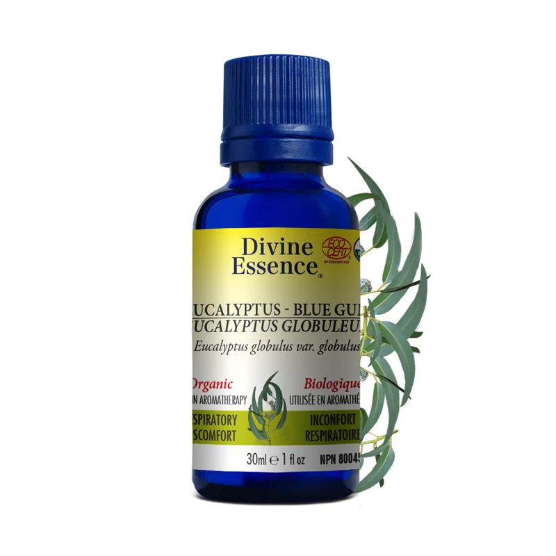 Eucalyptus Blue Gum Organic