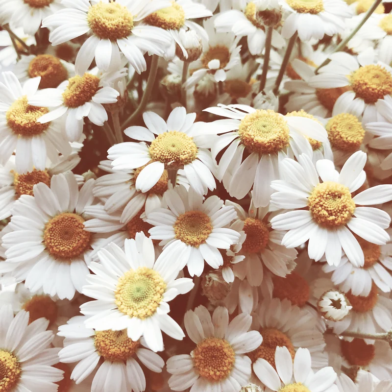Huile de massage Relaxation Bliss