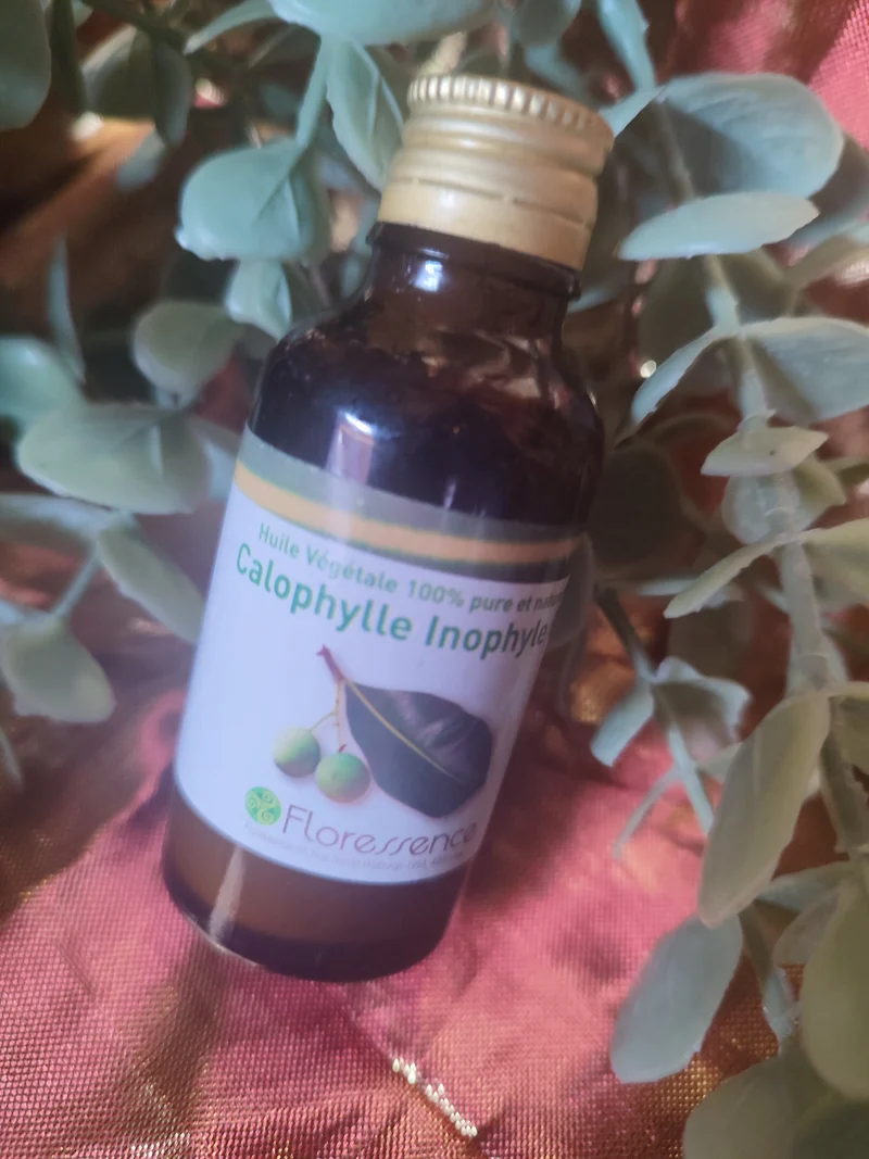 Huile végétale CALOPHYLLE INOPHYLE