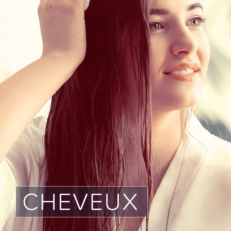 Menthe des Champs (N° 107) - Huile Essentielle