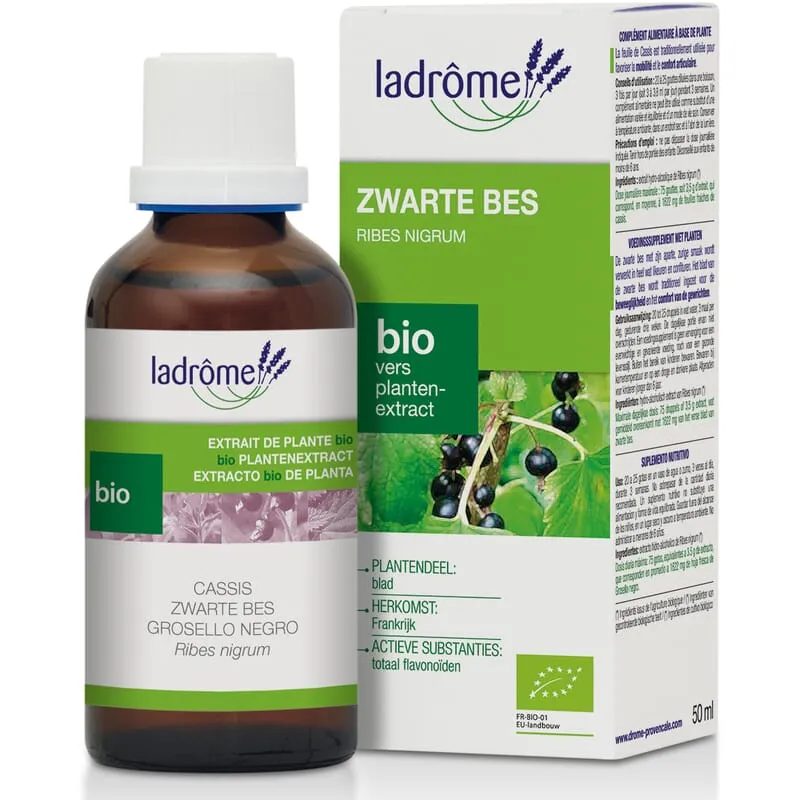 Teinture mère de cassis biologique