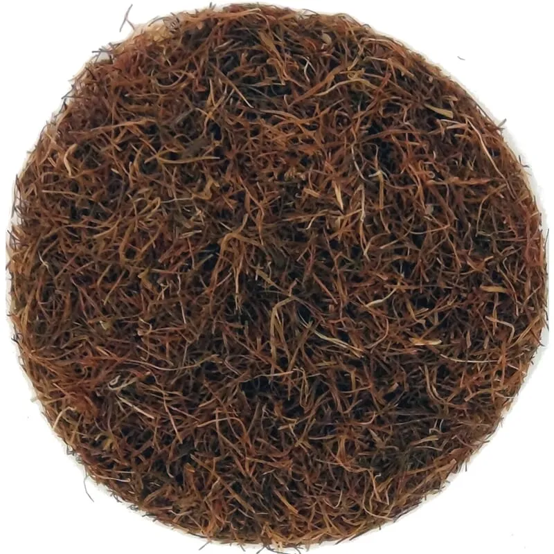Barbe de maïs
