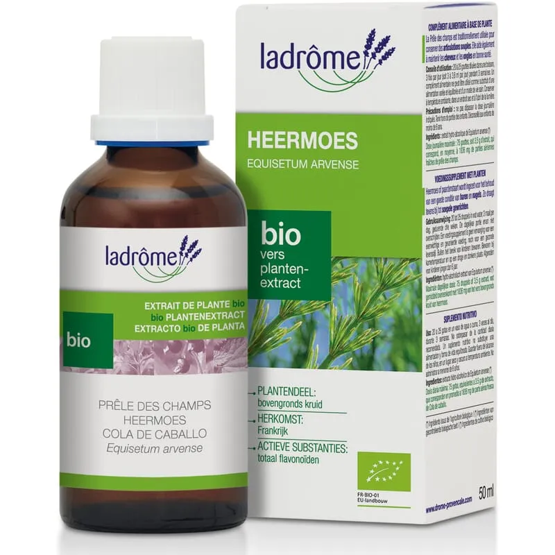Teinture de prêle biologique