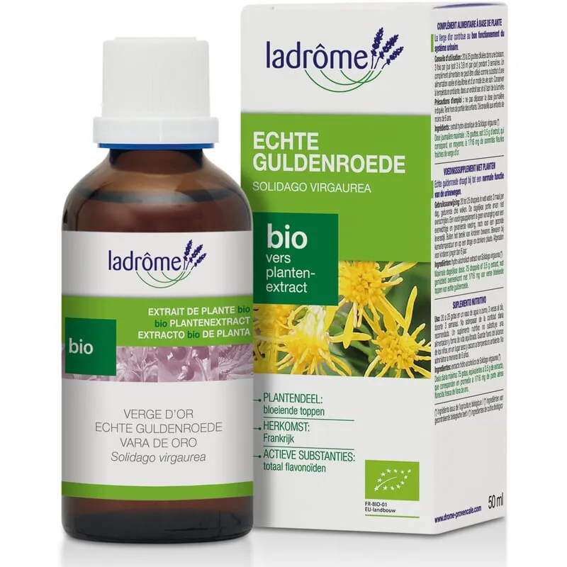 Teinture mère de verge d'or biologique