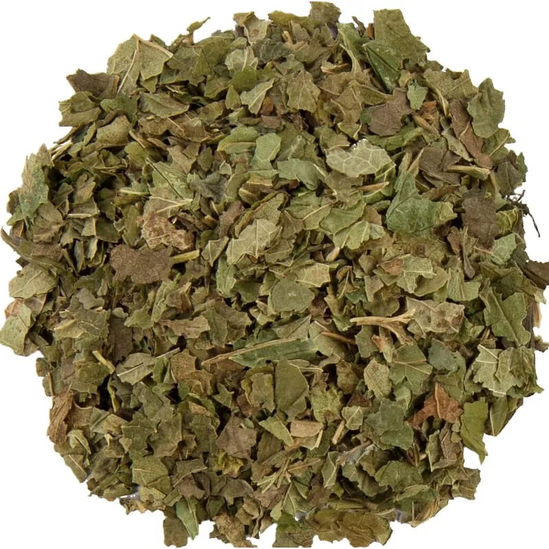 Feuille de cassis