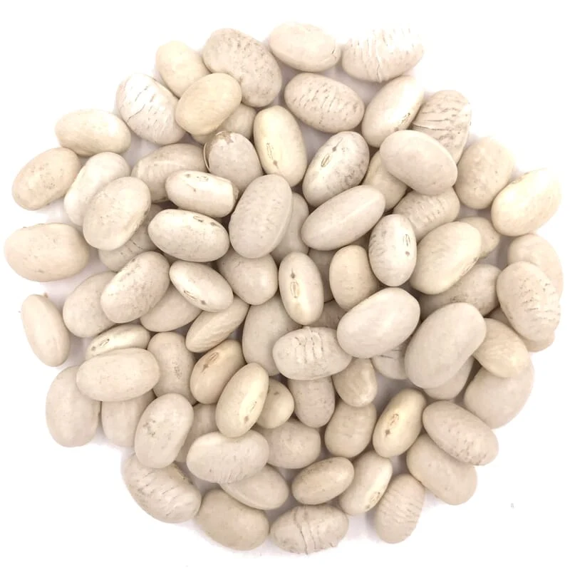 Petits haricots blancs biologiques