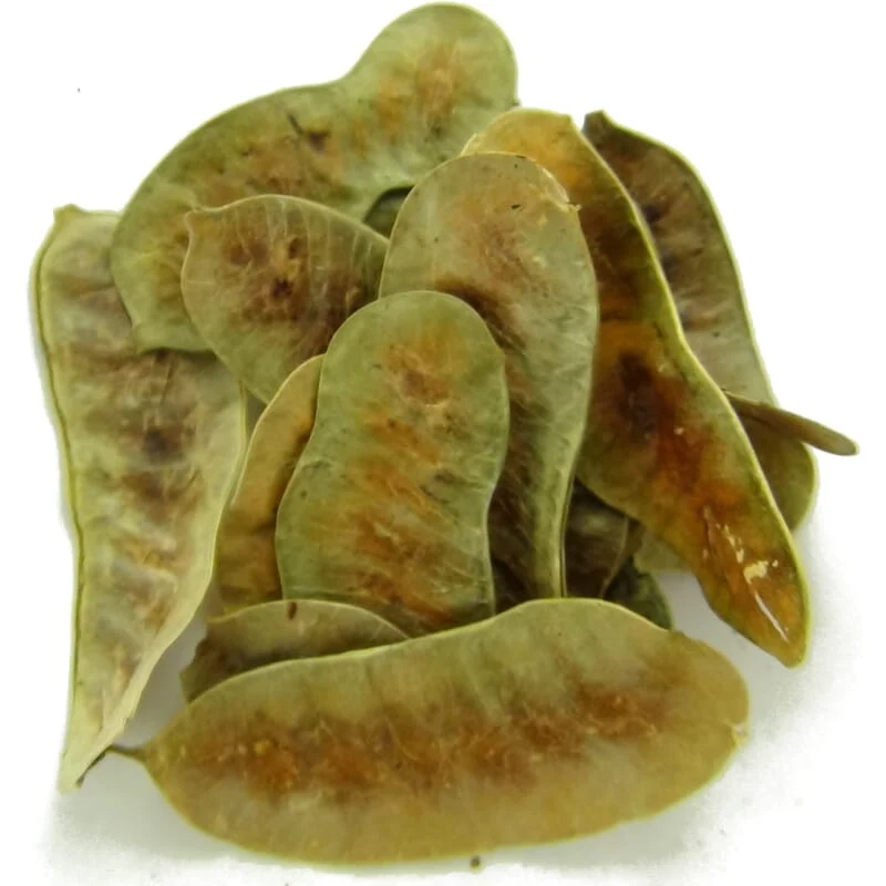 Gousses de séné