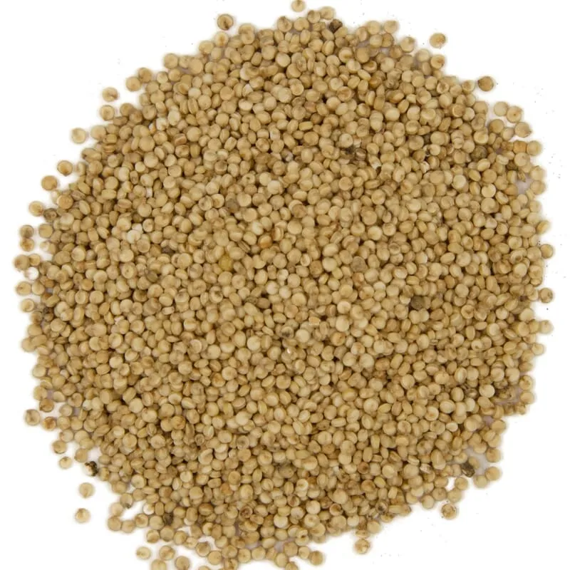Quinoa biologique de Belgique