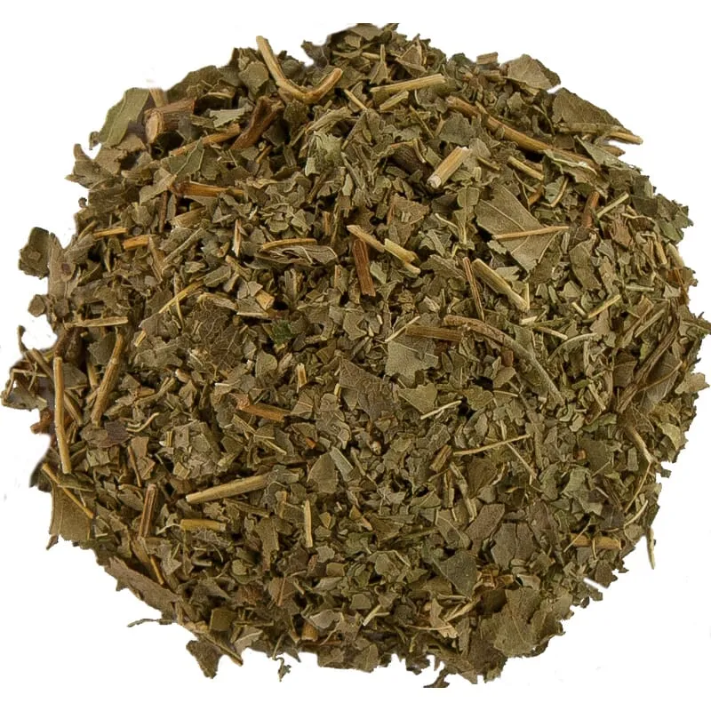 Feuille de frêne