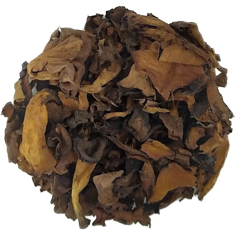 Trompette de la mort bio