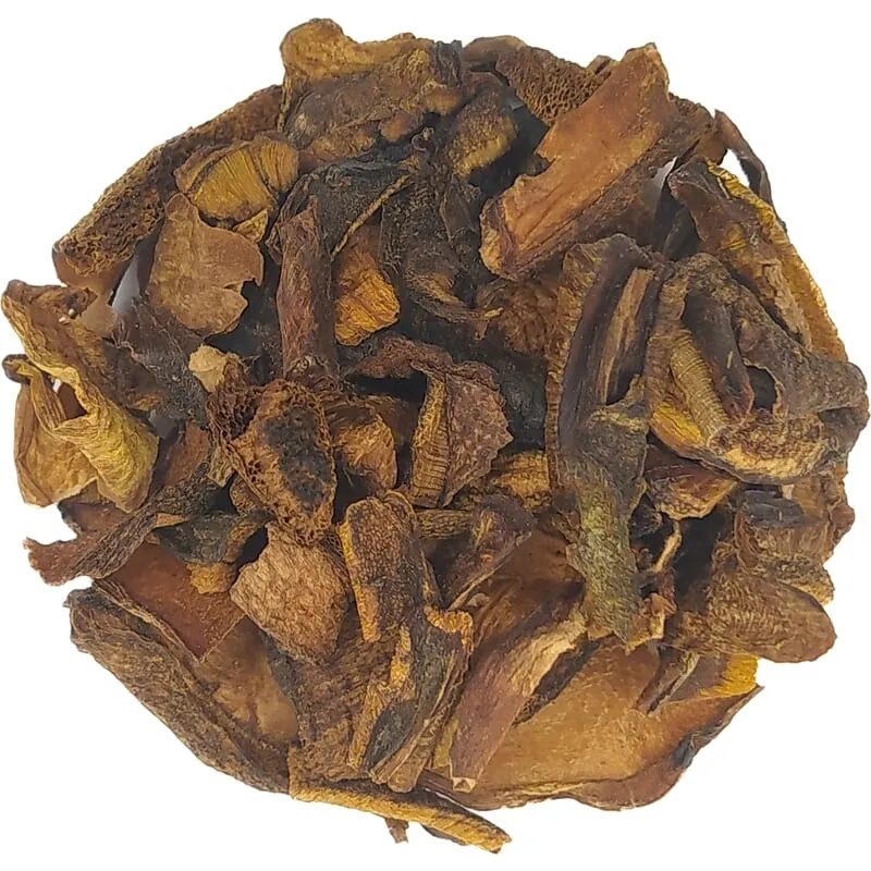 Champignons bolet brun bio