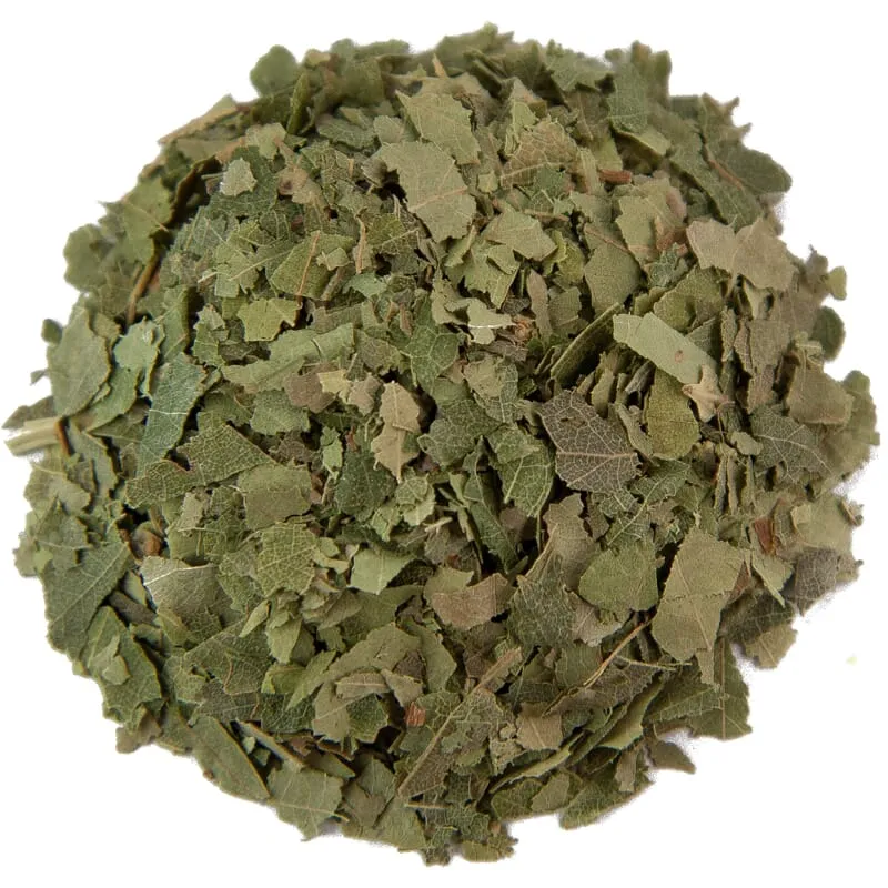 Feuille de bouleau