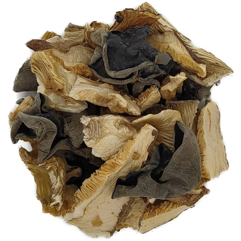 Mélange de champignons asiatiques bio
