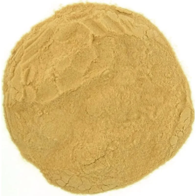Poudre d'acérola biologique