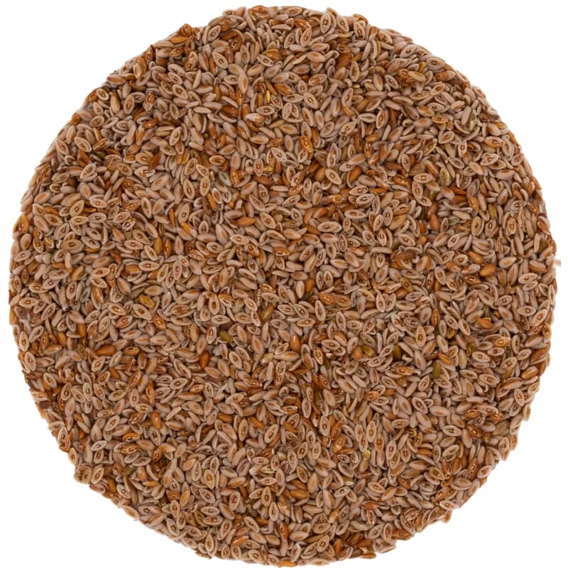 Graine de psyllium biologique