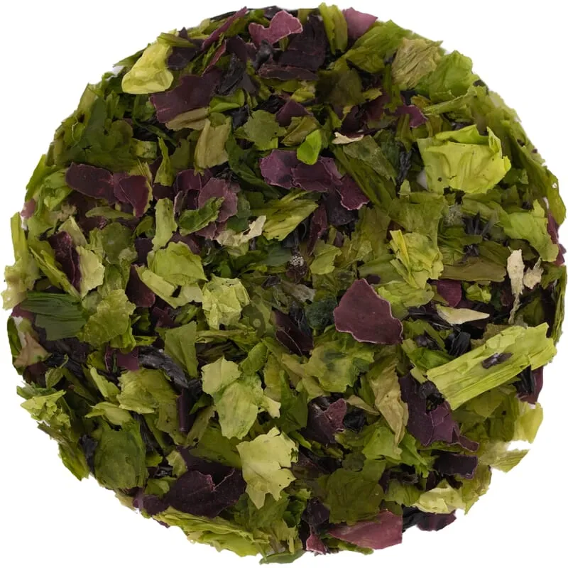 Mélange d'algues biologiques